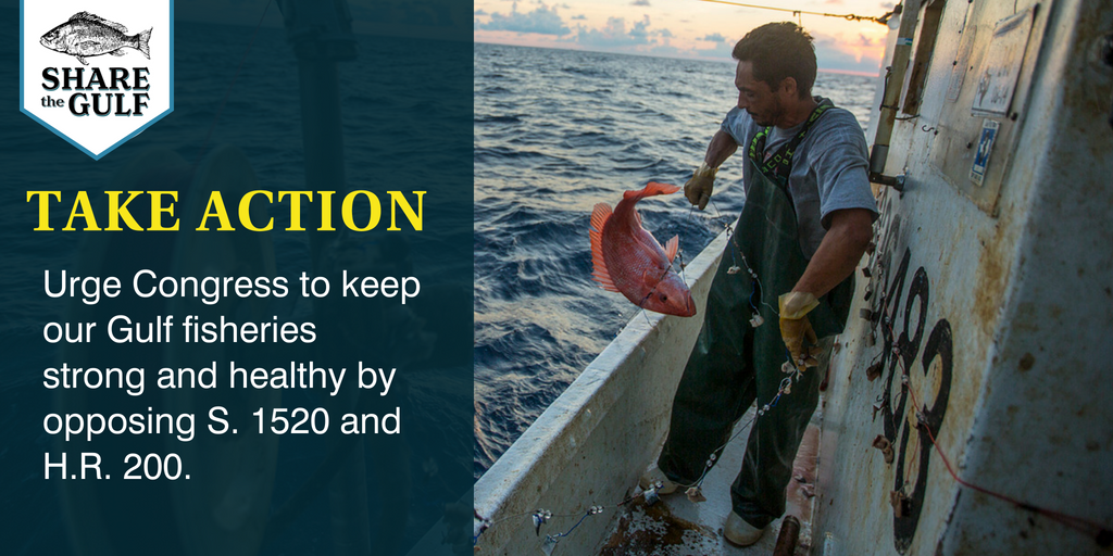 ShareTheGulf's tweet photo. Congress may advance H.R. 200 next week. Tell your Member of Congress to vote NO on this harmful bill, and oppose S. 1520. https://t.co/uGrw0Y1Rcp https://t.co/cjUMsBqEwu