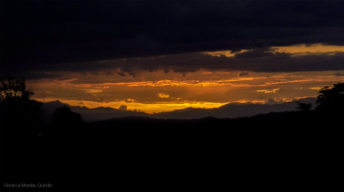 FelipeJaramill0's tweet photo. #100Razones: Hoy los viajeros internacionales pueden ver atardeceres inolvidables en más rincones de Colombia. Los bellos paisajes de nuestro país le dan la bienvenida al mundo. 🌤🇨🇴#ColombiaMásGrande https://t.co/BJbcaFFw18