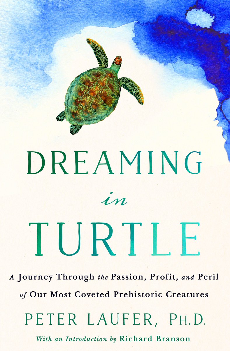 And check out the luscious Dreaming in Turtle cover designed by Kerri Resnick: