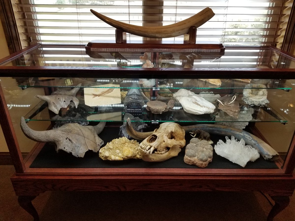 Another interesting day in real estate! Check out this bear cub skeleton, arcade & fossil collection.   Crazy cool!!  #realestate #realtorlife #homedecor #showinghomes