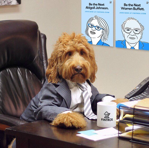 fintroductions's tweet photo. Meet our newest Fintros employee. Happy National Take Your Dog to Work Day @RyersonDMZ @MaRSDD #TakeYourDogToWorkDay #EmployeeNumber11 #Puppy https://t.co/KKSdlp3PN1