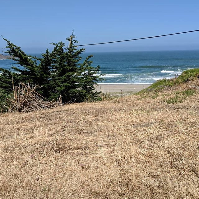 mattkosoy's tweet photo. @peninsulasurfclub @bpave777 and Joel 🖖⚡🍕☮️ https://t.co/tut9JYf2C2