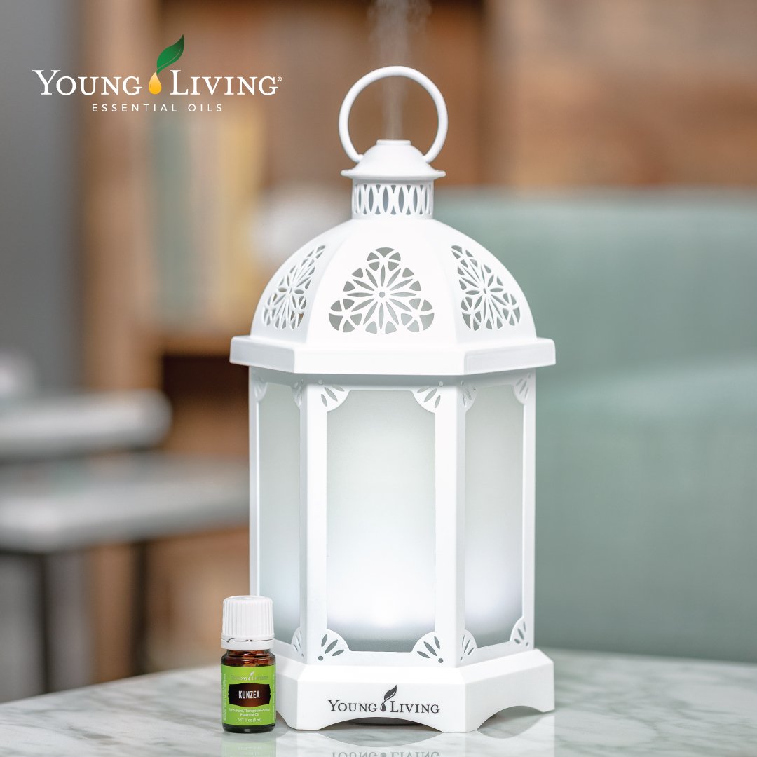 Retweet if you're swooning over the new #LanternDiffuser and #KunzeaEssentialOil just as much as we are! Shop here: goo.gl/zZJ7GH