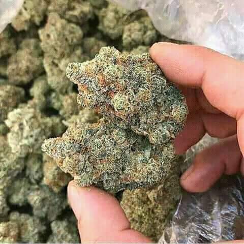 DwayneAbraham1's tweet image. Hello check this out friends