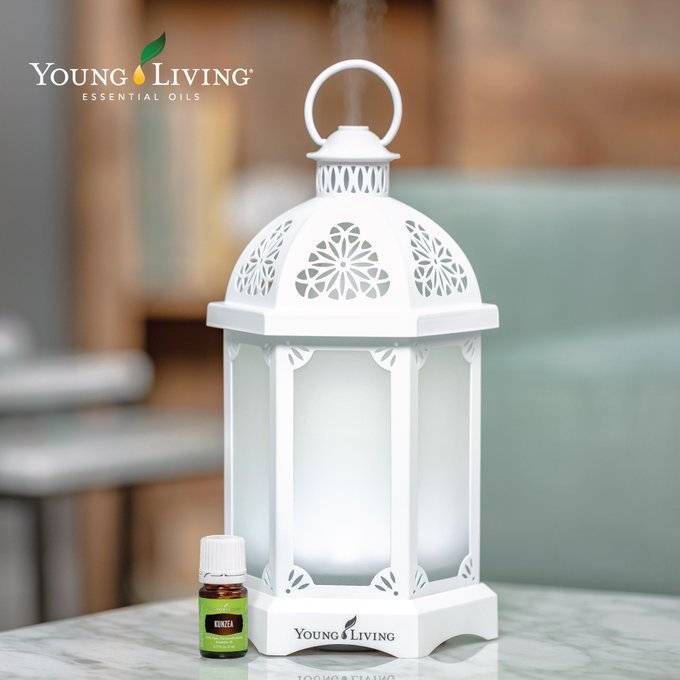 Retweet if you're swooning over the new #LanternDiffuser and #KunzeaEssentialOil just as much as we are! Shop here: bit.ly/2ltNI42 bit.ly/2yFrvK2 #theoilyplunge #essentialoils #taketheoilyplunge #youngliving #healthandwellness