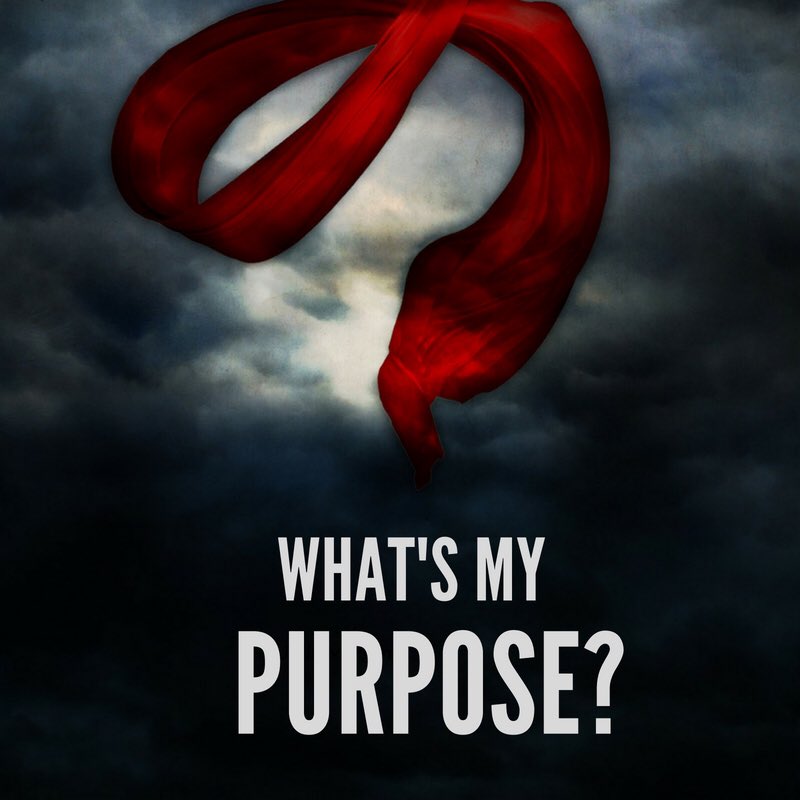 ChapelChurchNC's tweet photo. This very question haunts men and women on a daily basis. Come out this Sunday at 10am at the Smith Middle School in Chapel Hill, NC as we discover the true answer. #hopeforchapelhill #forchapelhill #unc #chapelhill #carrboro #durham #whatsmypurpose #lifeworthliving #hope https://t.co/5DuIzJXPoJ