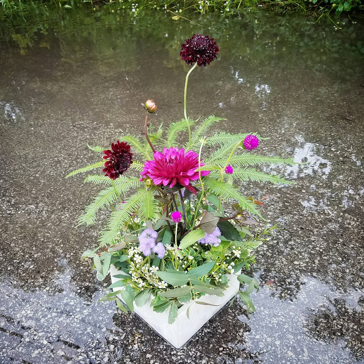 kikosflowers's tweet photo. Rain falls, Inspiration rises... #floristry #flowershop #floristlife #flowershop #shoplocal @kikosflowers https://t.co/fWBsPJb9Ky
