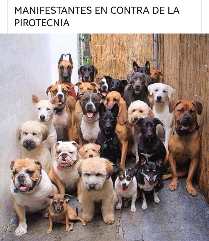 #noalospetardos