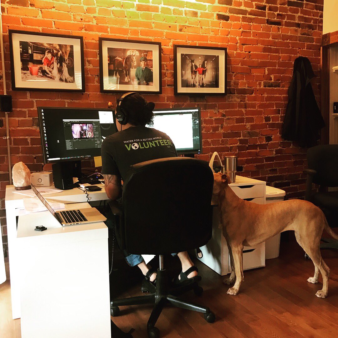 LPCreativeSTL's tweet photo. Introducing our new HR dept/ security: Leila &amp; Luci! 🐶🐶
#TakeYourDogToWorkDay #guarddogs https://t.co/PoXmixIiiF
