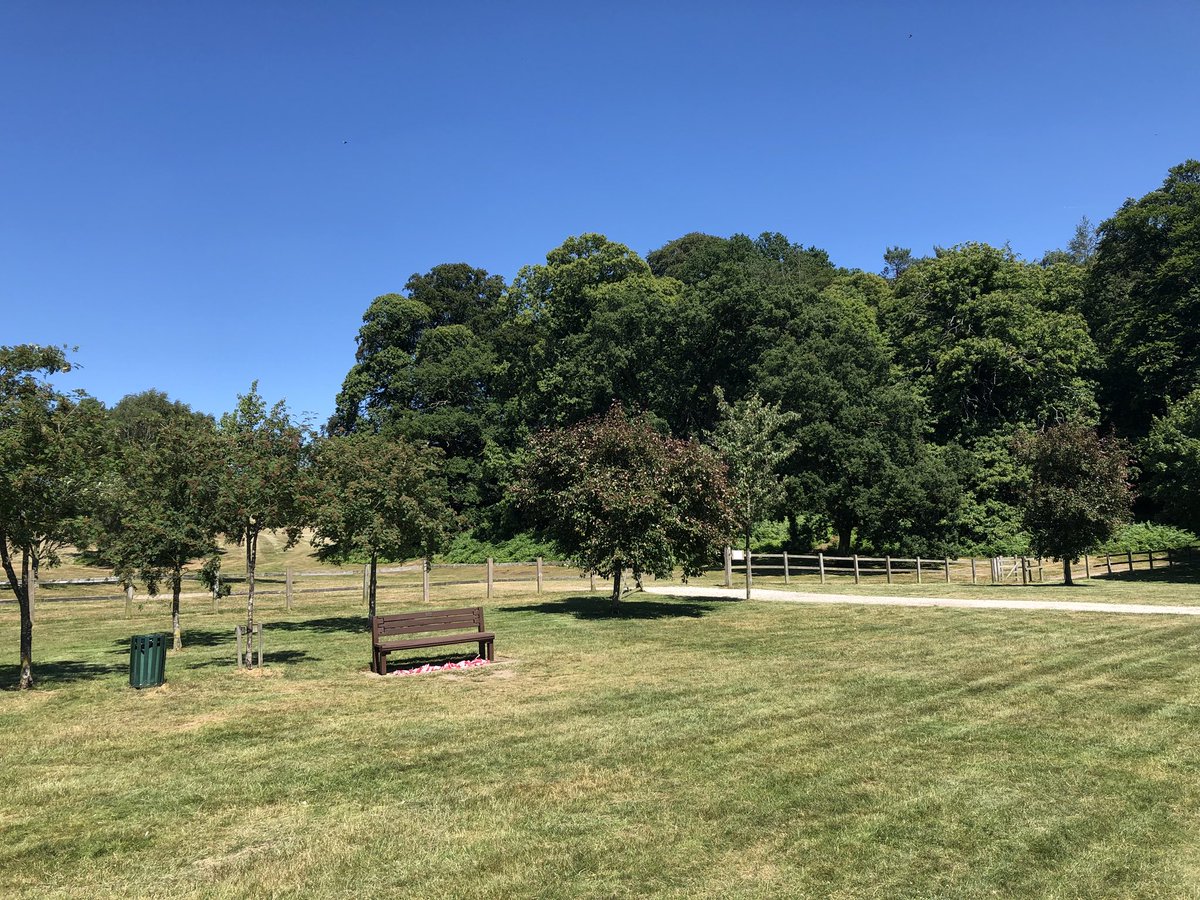 One week to go and this great park will host Amp Rocks !
#amprocks #ampthillpark #Ampthill #sunshineandfun