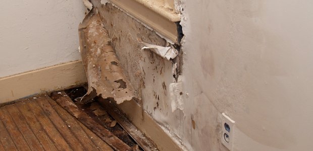 HamOntRoofing's tweet photo. Preventing major home disasters can be easy if you know what warning signs to look for. Here are 3 signs you can't afford to miss. #HomeImprovement 
https://t.co/Diguu0PpUN https://t.co/V7gWu6QMPv