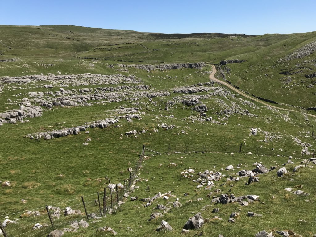 JonathanPounder's tweet photo. Work site for today, not a cloud in the sky with Ravens and wheaters a plenty https://t.co/zVOuV3iOEs