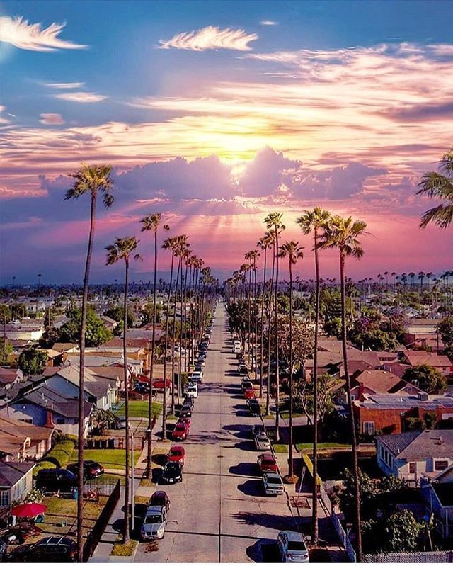 HeadlinesHeroes's tweet photo. A beautiful day in the neighborhood 🌞🌴 https://t.co/Z1hexf7Fqp https://t.co/dT9StA7hcb