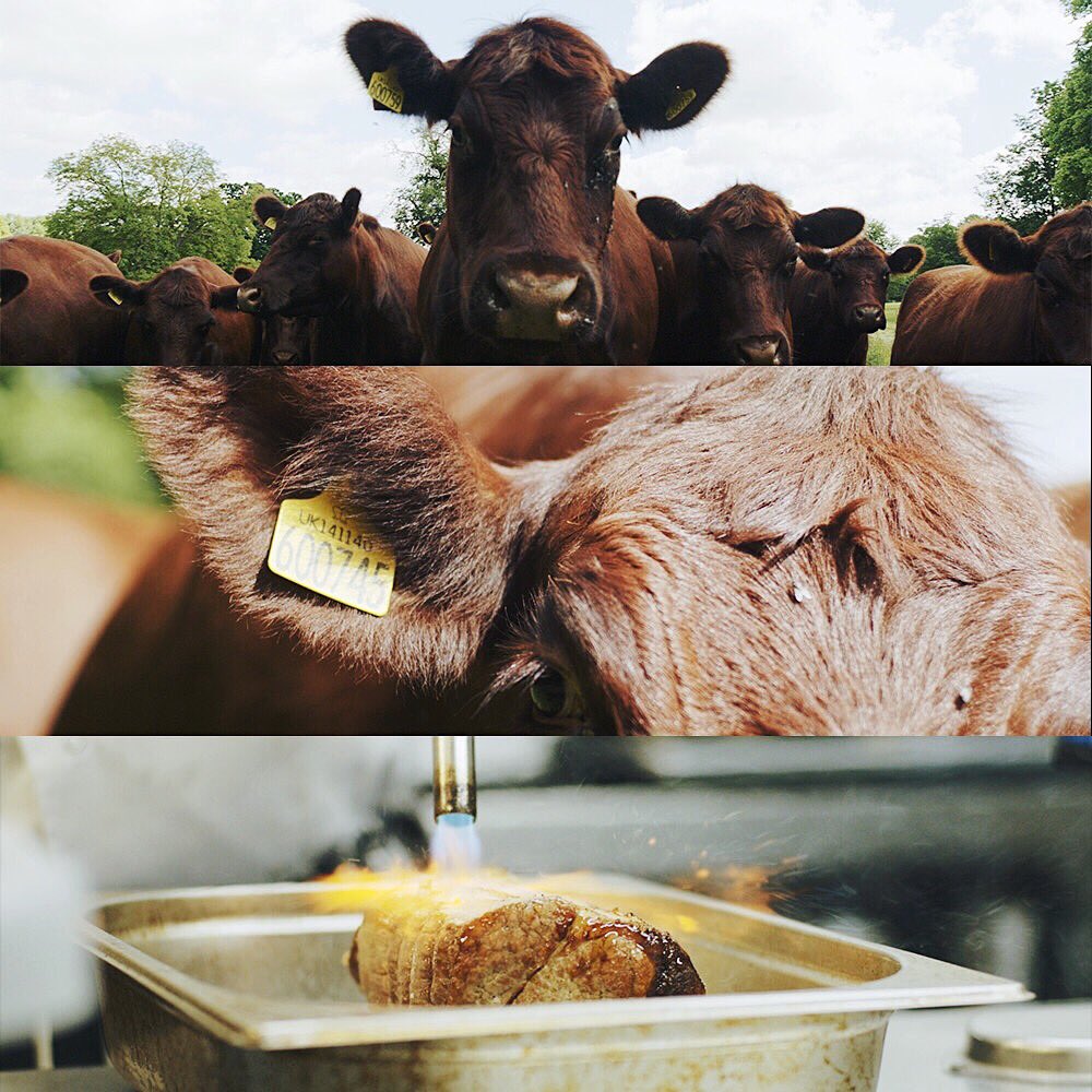 LukeLewisProductions tweet media