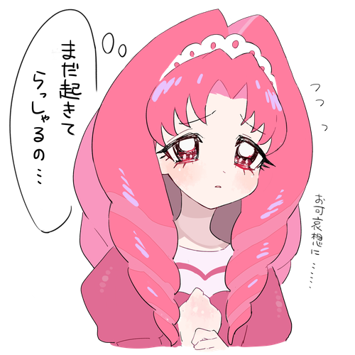 トワ様のお心を煩わせてはいけない 