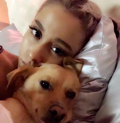 aintgotnotears's tweet photo. they literally have the exact same nose &amp; eyes i’m- https://t.co/CYarMhHAhq