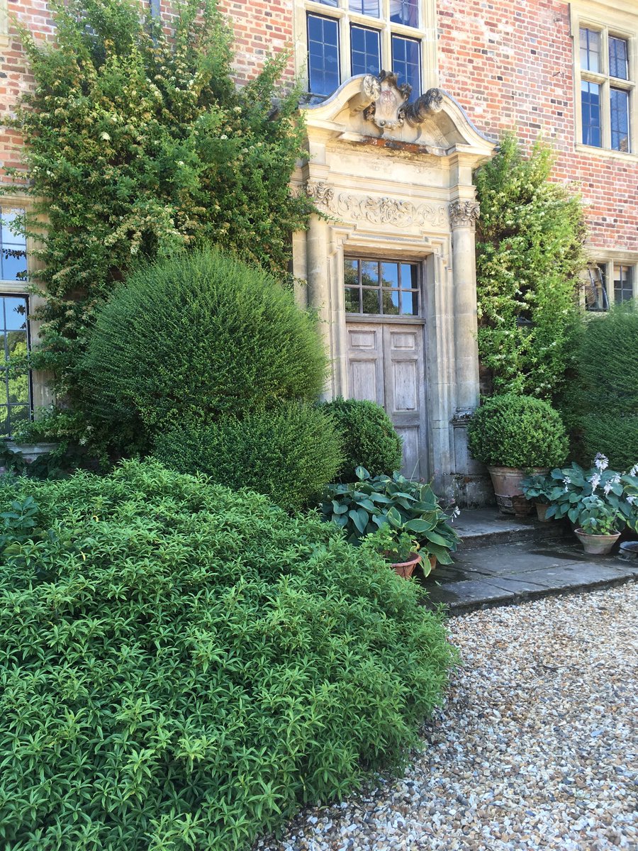 rachelwillis555's tweet image. Bit of #cloudpruning ‘before and after’ pics #Heale @michaelmaltby30 @thegardenbird