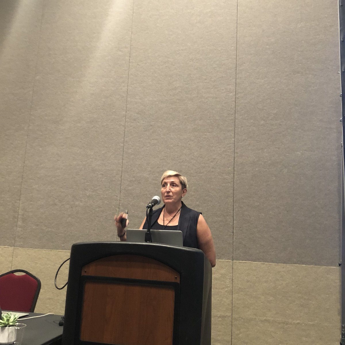 adri_romsor's tweet photo. Octavia Camps giving her keynote talk on geometric and dynamic-based invariants at #WiCV18 #CVPR18 @Northeastern https://t.co/5OVruXrWHA