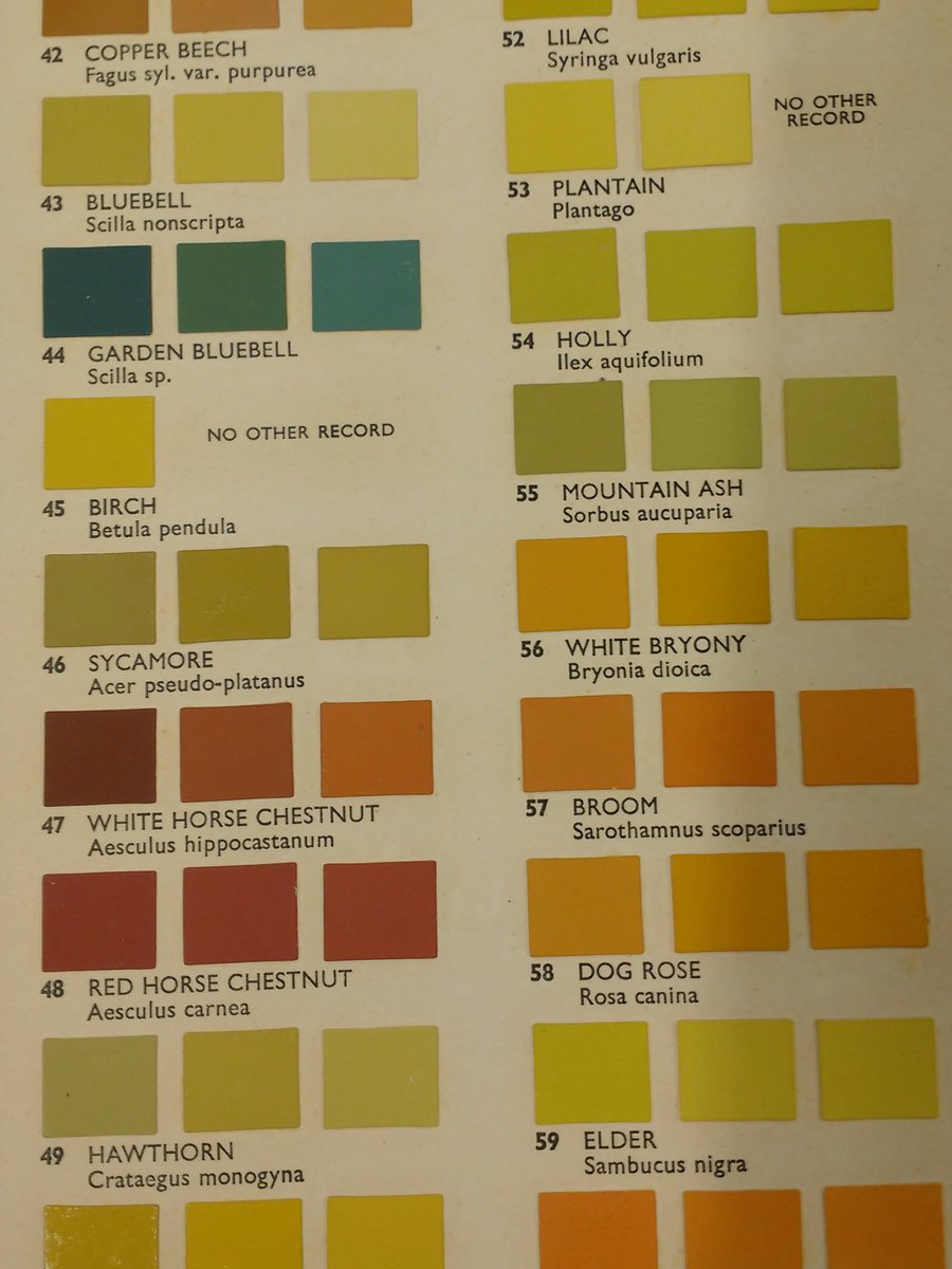 Pollen Color Chart Bees