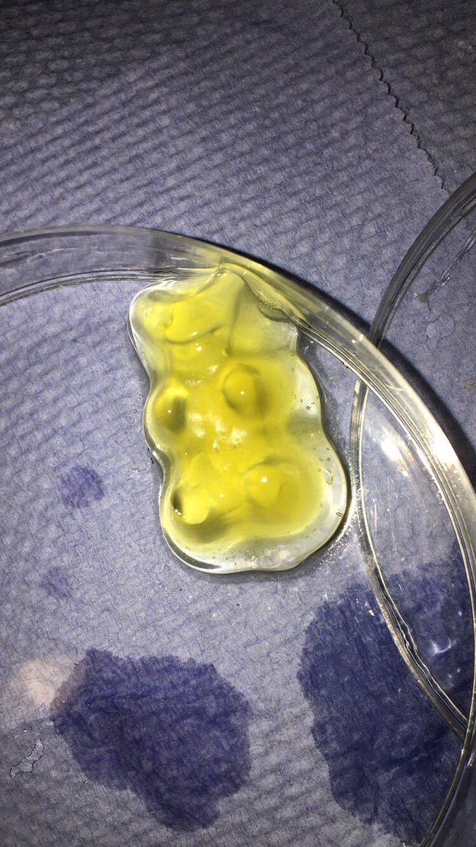 b1010gy_teacher's tweet photo. N5 Biology investigating osmosis in gummy bears π» Thanks for the photos, lads! #sweetiescience #pedagoofriday https://t.co/kpAw5DpY5J