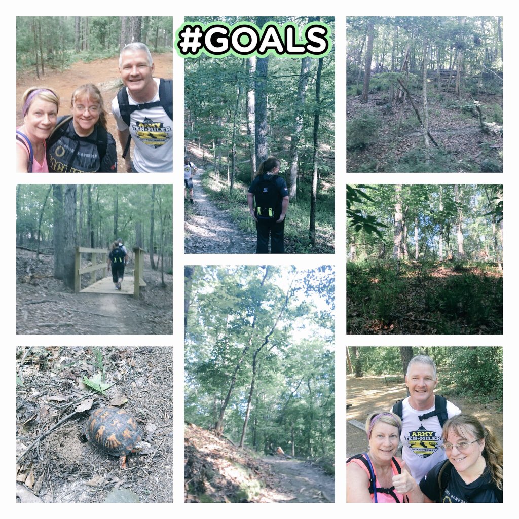 Melanie Phillips tweet media