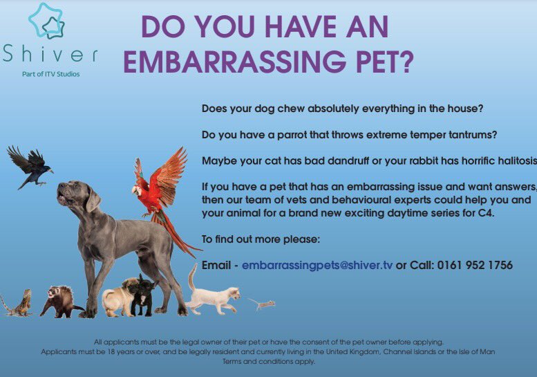 ContestantCollective tweet media