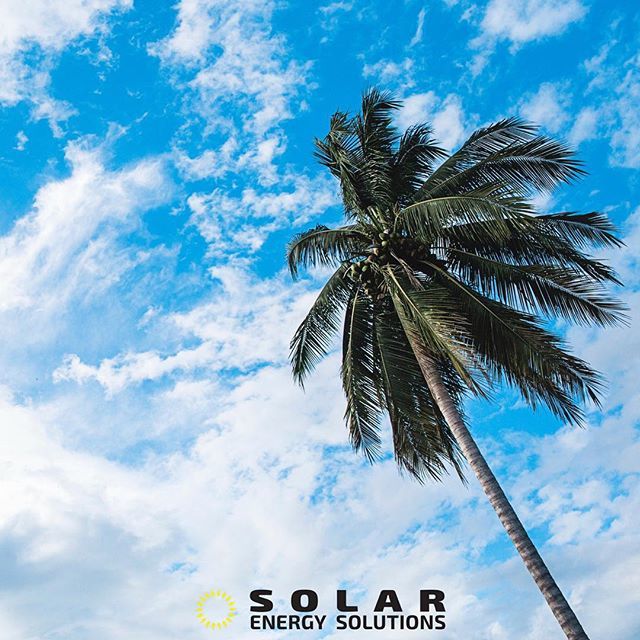 There's no place like home 🌴 Did you know that California is ranked one of the top states for solar? No surprises there 😎 ift.tt/2MNuh2R