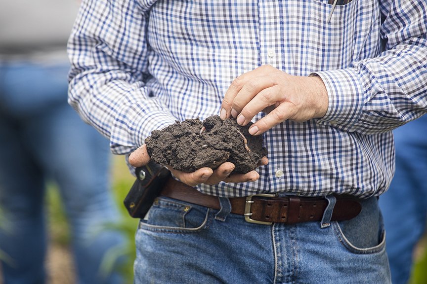 pipestonestar's tweet image. Making better soil 
ow.ly/AEq330kBrGa #PipestoneCounty #SWMN #SESD #soilhealth