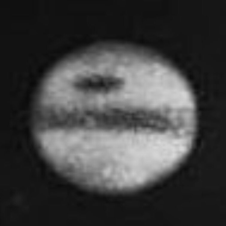 Mete Atature on Twitter: 