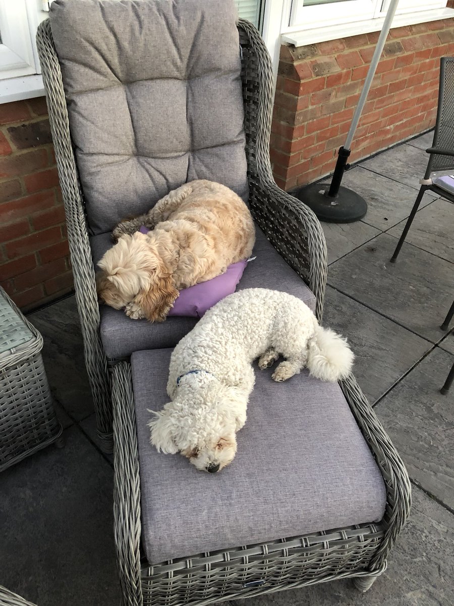 Ted Dale tweet media