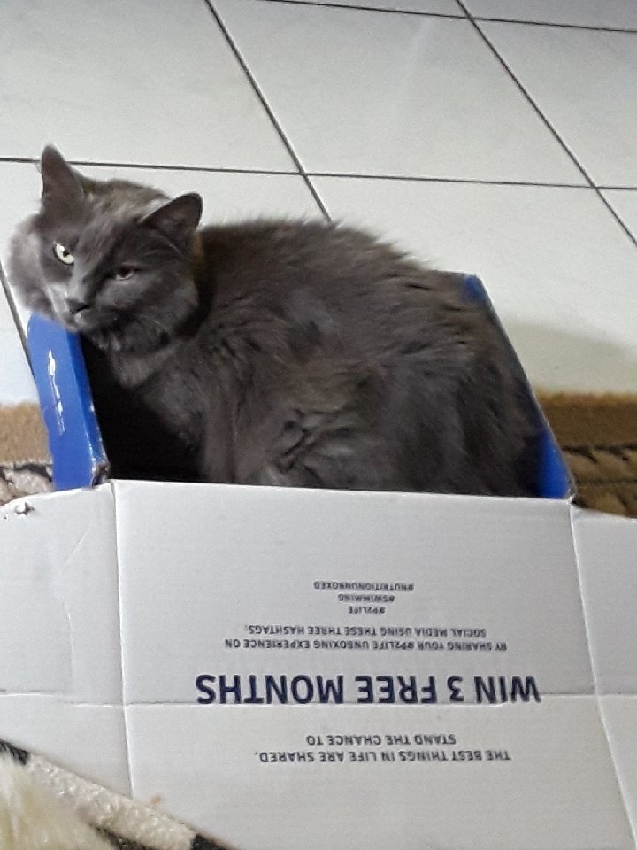 tlnuckles's tweet image. #p2life