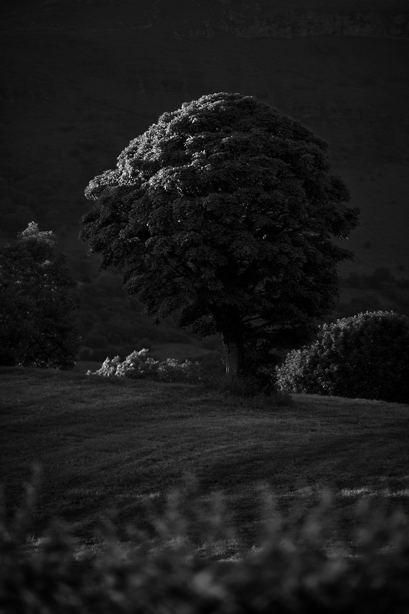 Summer Solstace sunset on Glencar Lake. #sligo #sunset #wildatlanticway #Ireland
