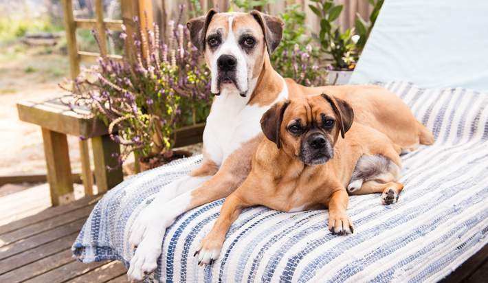 SamSellsAtlanta's tweet image. 25 ways to beautify your patio or porch on a budget:  otbd.it/lHcZFai6