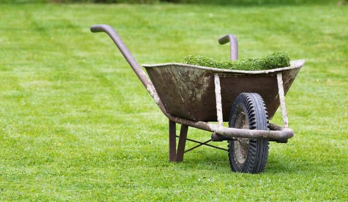 AirtronMidAtlan's tweet photo. What should you do with grass clippings? https://t.co/WlMQrT5ziA https://t.co/VzRDvETK52