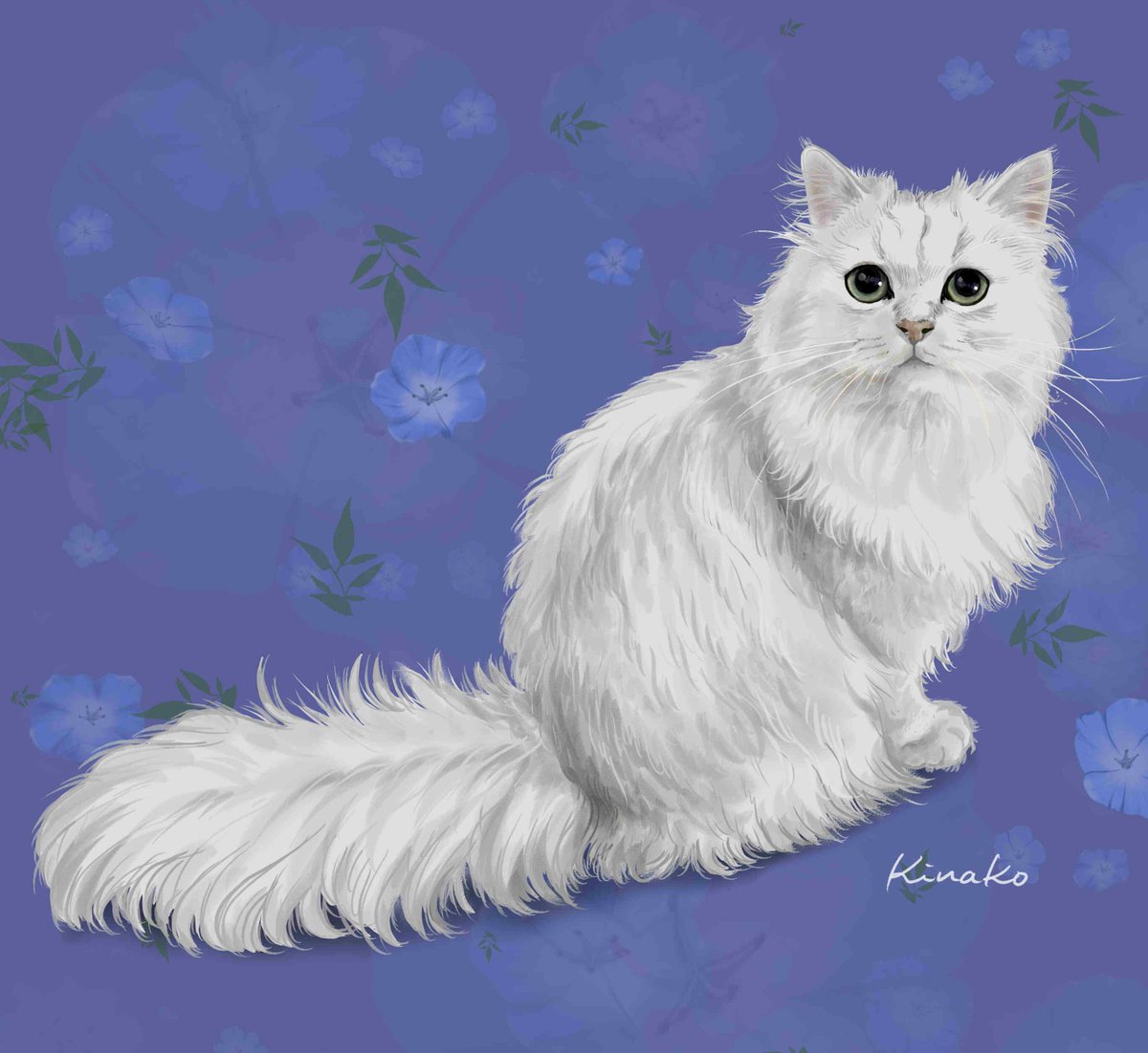きなこ 猫の絵を描いています はじめまして チンチラシルバーの2歳の女の子です とうふちゃんです W イラストで描かせていただきました しっぽなどは 想像で描き足しました 猫絵 Cat Drawing 猫イラスト 猫画 チンチラシルバー