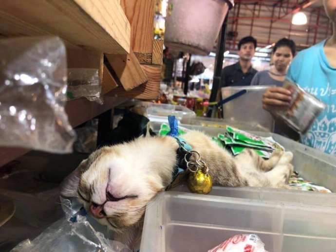 xingxiafa315's tweet photo. 老板 别睡了 快起来结账...🙃 https://t.co/7NP7brNvjm