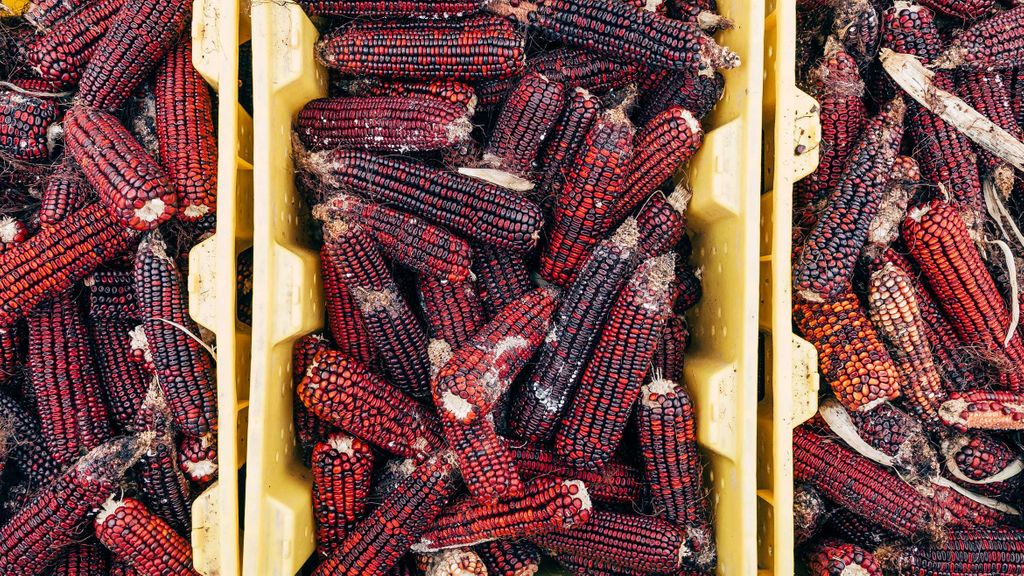 Is Heritage Corn Craft Whiskey’s Final Frontier? buff.ly/2M4KBMf