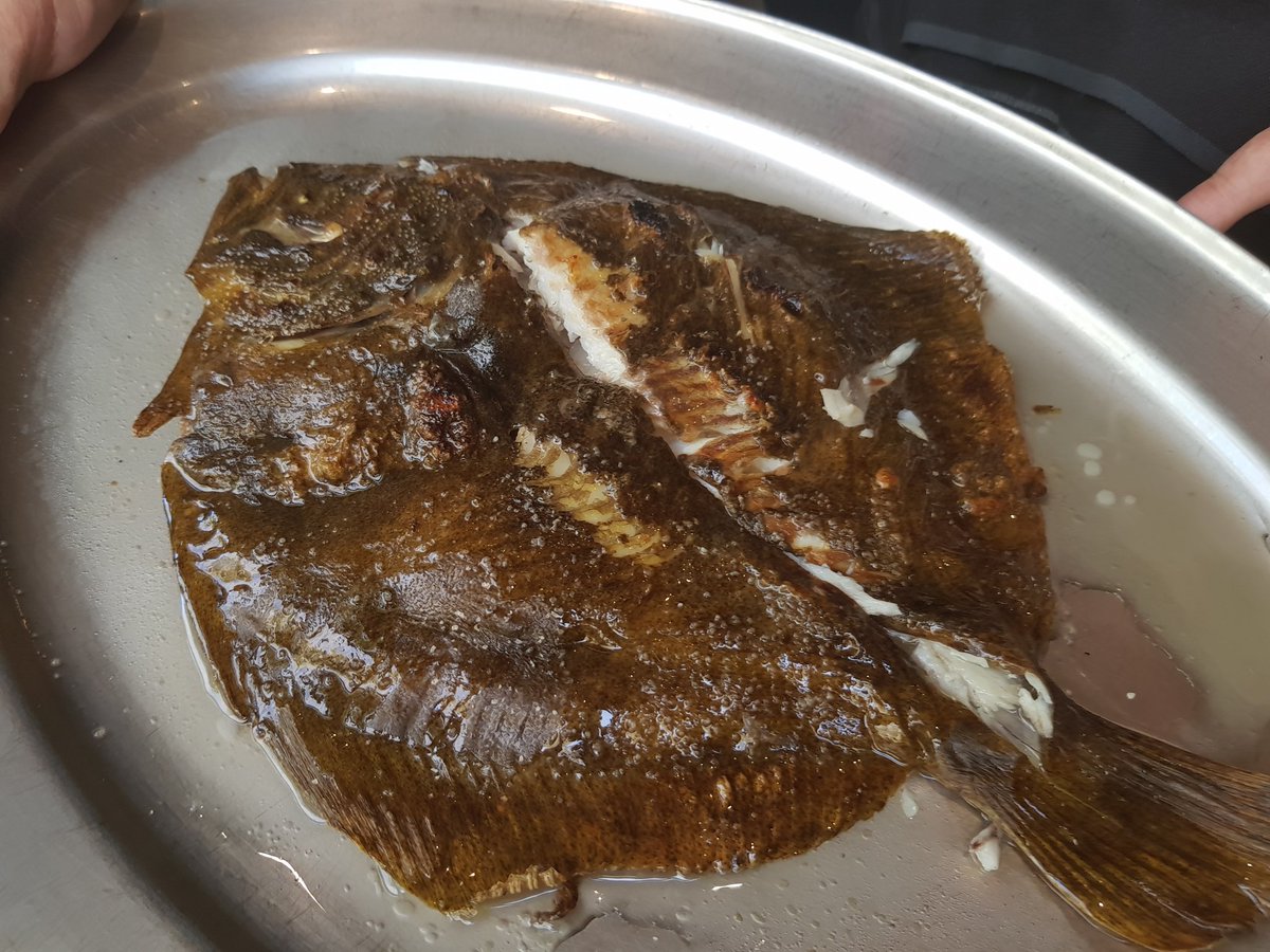 PhilippeRegol's tweet photo. @Mextizo_BCN La rica  cocina mestiza de #AdriánMarín (ex Drolma).Taco de lechón y su piel crujiente. Mar y montaña de calamar, pollo de corral y alcachofa. Rodaballo a la brasa con vinagreta de Getaria. https://t.co/wRIPOlO97m