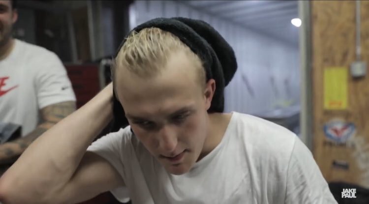 Jake Paul, are you alright? 