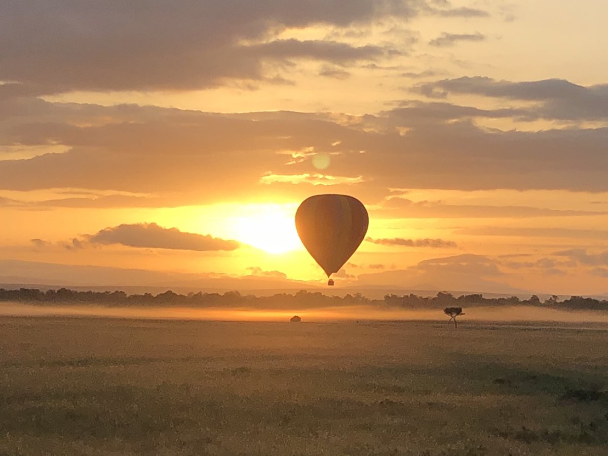 krcannon19's tweet photo. Amazing sunrise from a hot air balloon! #RPESummer18 https://t.co/IbUEw94rWH