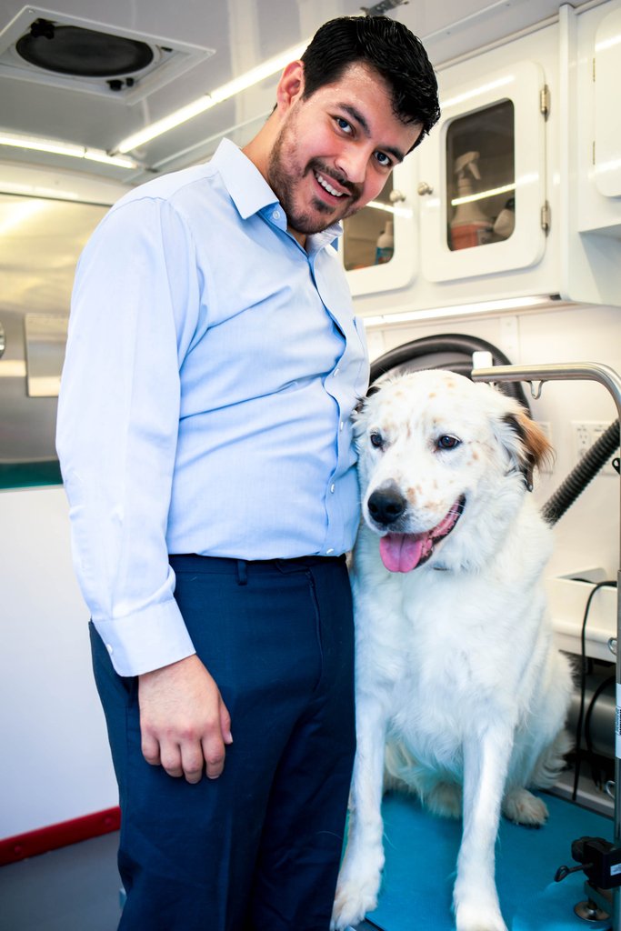 kings mobile pet grooming