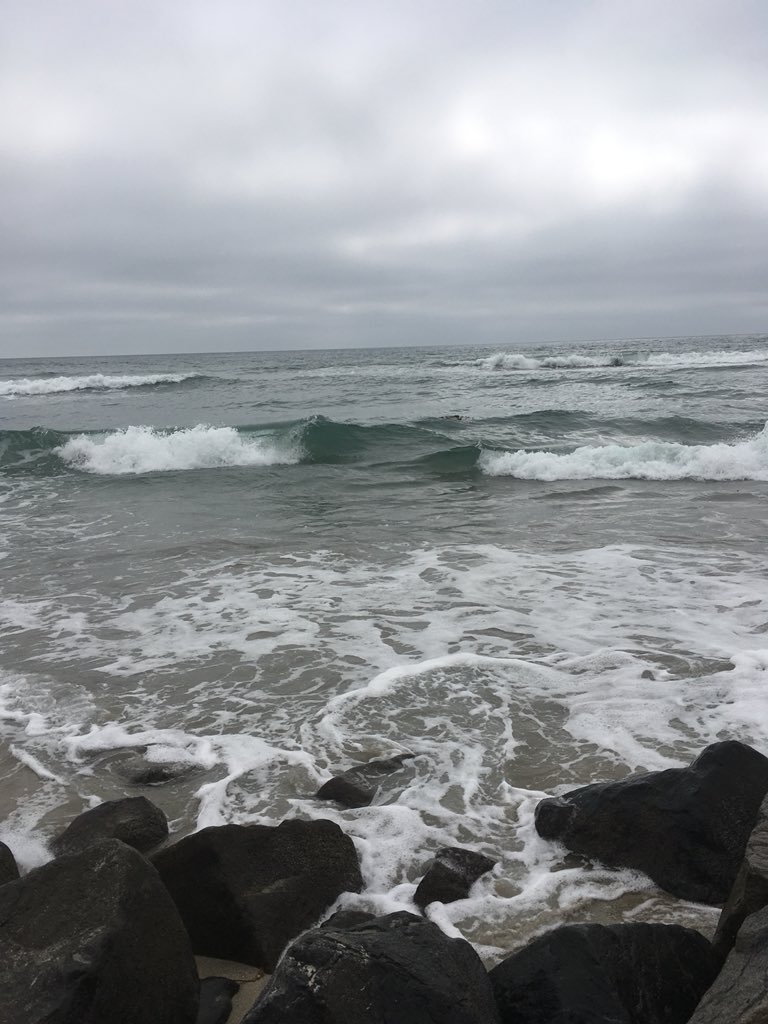 Real Talk DPT tweet media