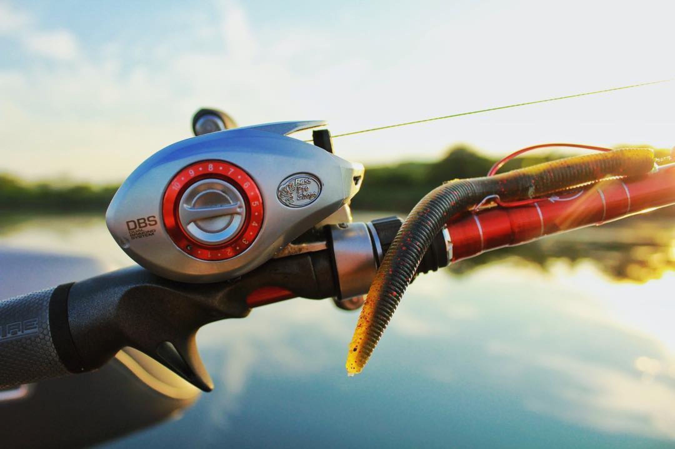 Bass Pro Shops on X: Red looks good on you. 😍 Shop the Johnny Morris  Platinum Signature Baitcast Combo:  📷:  @josh_woodward on Instagram  / X