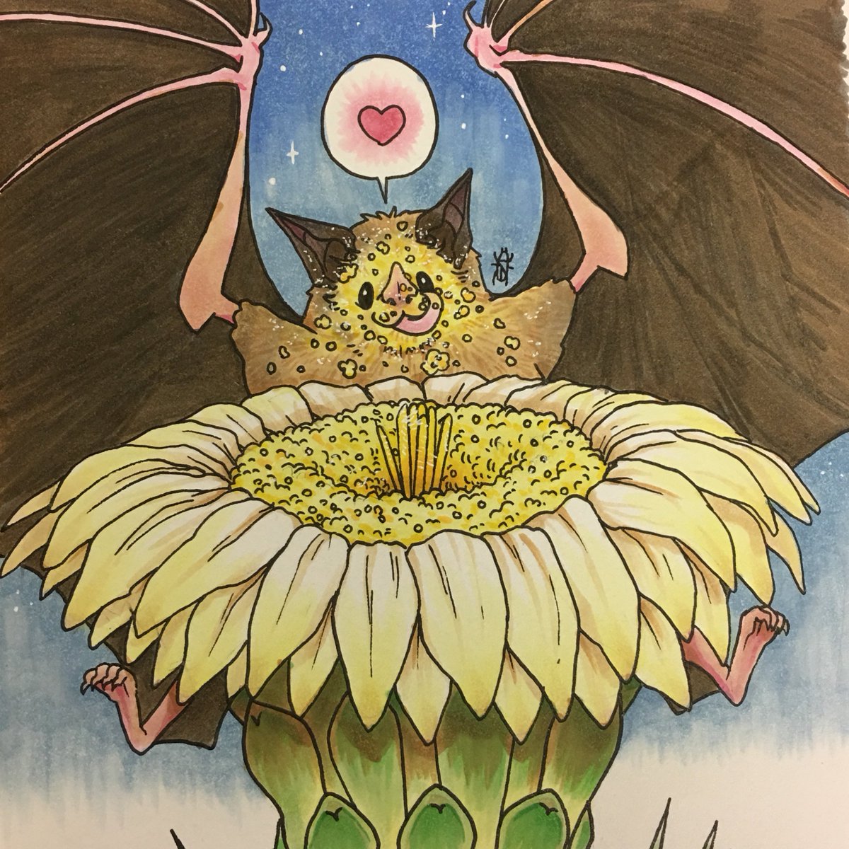 SIGardens's tweet photo. Donβt forget about our nocturnal pollinator friends! Bats and other mammalsβ fur carry pollen from flower to flower as they go about their nighttime snacking. #bats #pollinatorweek #pollinatorweek2018 https://t.co/e5oc4C65my