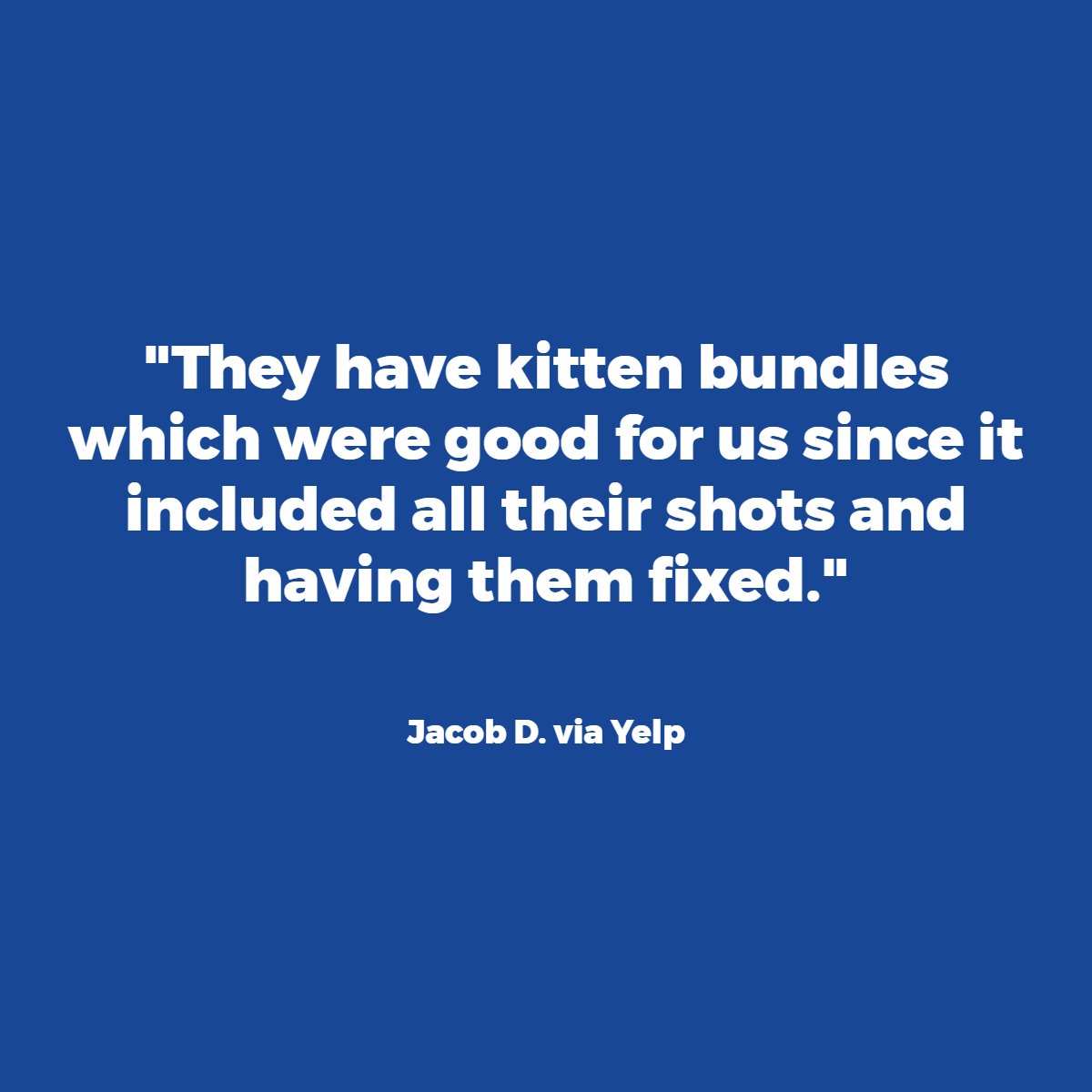 Animal House Vets (AH_Vets) Twitter