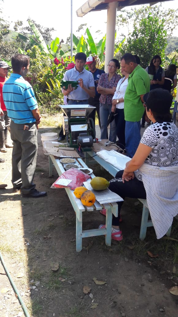C8Mikaela's tweet photo. #InfoMAG | Técnicos del #ProyectoCaféYCacao #MAG en coordinación con @Swisscontact, empresa #Capamaco y @BanEcuadorBP desarrollaron día de campo con agricultores en cosecha, postcosecha de café y manejo de maquinaria agrícola en plantación de café, en sector La Raya #Piñas #ElOro https://t.co/HegtJlK6Mb