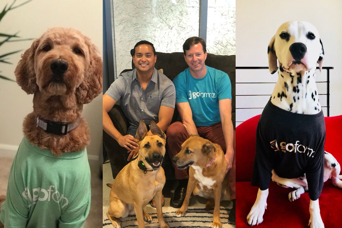 goformz's tweet photo. It's #TakeYourDogToWorkDay! Check out how Team #GoFormz celebrated by welcoming #DogsOfGoFormz to our San Diego office. https://t.co/Cb6C8eeie4 https://t.co/QpNO382g5j