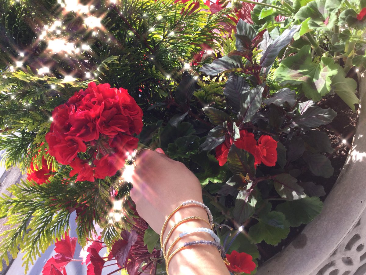 divalani_style's tweet photo. When the sun comes out, so does the jewelry. I love to layer my jewelry when I’m showing more skin during the summer months! #gorjana #powergemstones #divalanistyle 
https://t.co/A5FsREl1Um

#jewelry #summer #shopping #boutique #style #redflowers https://t.co/bRJqwJAHLX