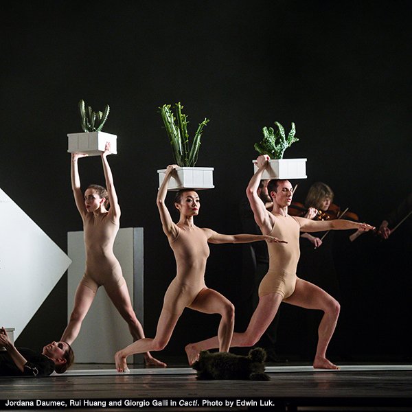 nationalballet's tweet photo. #CactiNBC is clever, fast-paced and witty. Learn more about choreographer Alexander Ekman >> https://t.co/lSKrJvzZuY https://t.co/NLUoYnTRj5