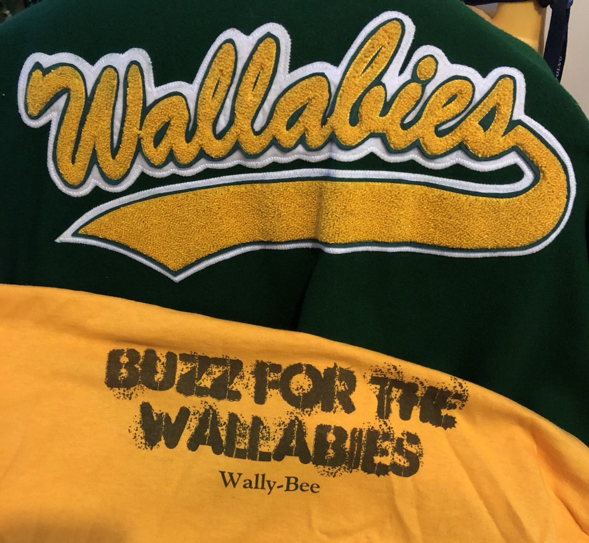 WallyBee11's tweet photo. Game day. 
🇦🇺 v 🇮🇪 
BUZZZZZZZZZZZZZZZZZZZZZZZ

#WallyBee
#BuzzForTheWallabies https://t.co/0wKOAv7tVG